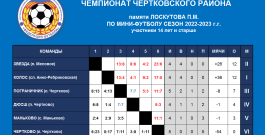 Чемпионат Чертковского района по мини-футболу, результат на 21 января