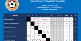 Чемпионат Чертковского района по мини-футболу